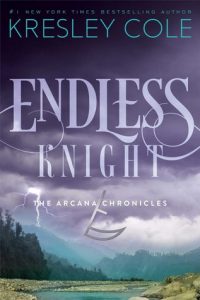endless knight cover