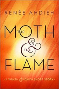The Moth & the Flame
